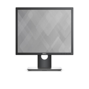 19-inch monitor