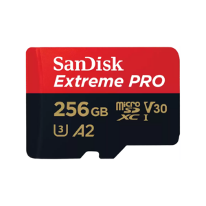 microSD card 256GB