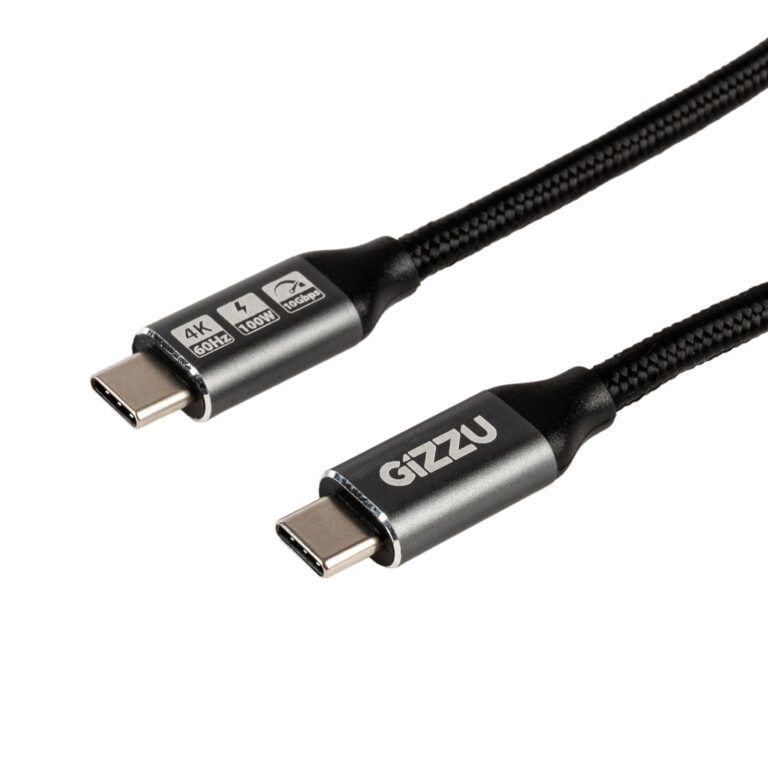 GIZZU 100W 10Gbps Type-C Cable 2m