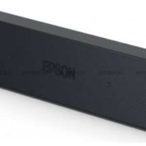 Epson Black Ink Bags for WF-C21000